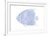 Blue & White Tropical Fish V-Vision Studio-Framed Art Print