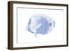 Blue & White Tropical Fish VI-Vision Studio-Framed Art Print