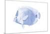 Blue & White Tropical Fish VI-Vision Studio-Mounted Art Print