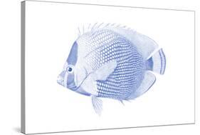 Blue & White Tropical Fish VI-Vision Studio-Stretched Canvas