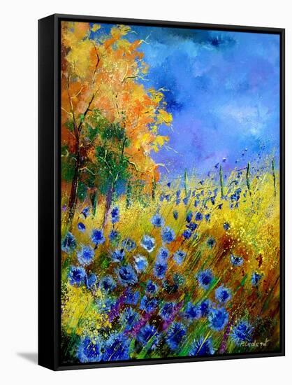 Blue wild flowers with an orange tree-Pol Ledent-Framed Stretched Canvas