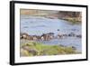 Blue wildebeest crossing the Mara River, Maasai Mara, Kenya-Nico Tondini-Framed Photographic Print