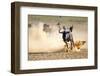 Blue Wildebeest Running on Dusty Plains ( Taurinus; Connochaetes ) - Kalahari Desert - South Africa-Mari Swanepoel-Framed Photographic Print