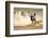 Blue Wildebeest Running on Dusty Plains ( Taurinus; Connochaetes ) - Kalahari Desert - South Africa-Mari Swanepoel-Framed Photographic Print