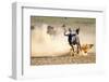 Blue Wildebeest Running on Dusty Plains ( Taurinus; Connochaetes ) - Kalahari Desert - South Africa-Mari Swanepoel-Framed Photographic Print