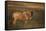 Blue Wildebeest-DLILLC-Framed Stretched Canvas