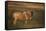 Blue Wildebeest-DLILLC-Framed Stretched Canvas