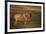 Blue Wildebeest-DLILLC-Framed Photographic Print