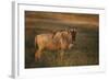 Blue Wildebeest-DLILLC-Framed Photographic Print