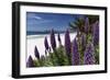 Blue Wildflowers at the Beach, Carmel, California-George Oze-Framed Photographic Print