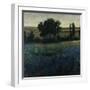 Blue Wildflowers-Tim O'toole-Framed Giclee Print