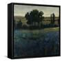 Blue Wildflowers-Tim O'toole-Framed Stretched Canvas