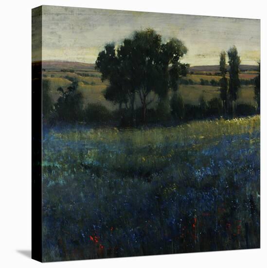 Blue Wildflowers-Tim O'toole-Stretched Canvas