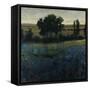 Blue Wildflowers-Tim O'toole-Framed Stretched Canvas