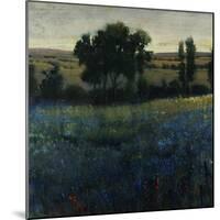 Blue Wildflowers-Tim O'toole-Mounted Giclee Print