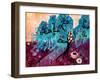 Blue Willow-Natasha Wescoat-Framed Giclee Print