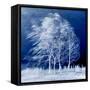 Blue Wind-Philippe Sainte-Laudy-Framed Stretched Canvas