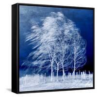 Blue Wind-Philippe Sainte-Laudy-Framed Stretched Canvas