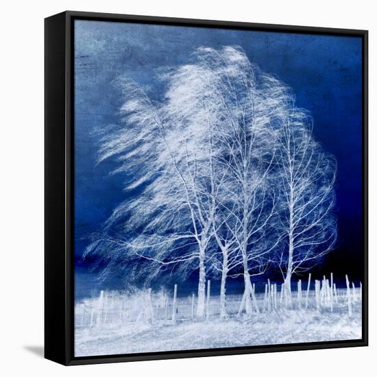 Blue Wind-Philippe Sainte-Laudy-Framed Stretched Canvas