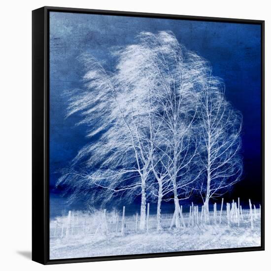 Blue Wind-Philippe Sainte-Laudy-Framed Stretched Canvas