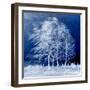 Blue Wind-Philippe Sainte-Laudy-Framed Premium Photographic Print