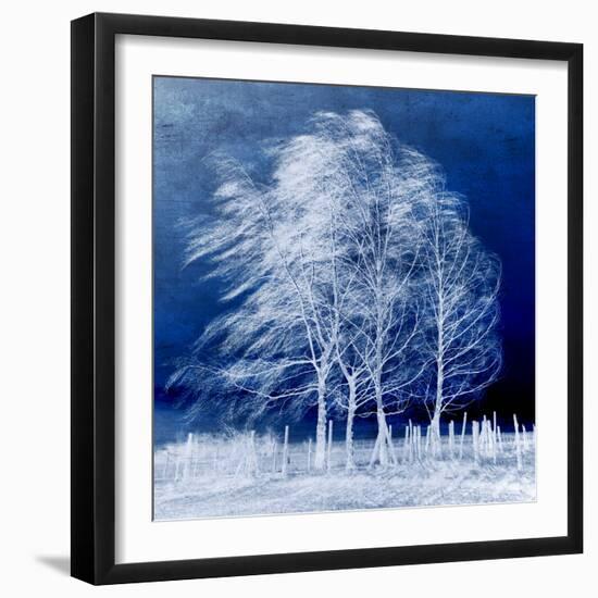 Blue Wind-Philippe Sainte-Laudy-Framed Premium Photographic Print