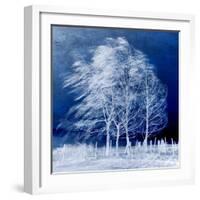 Blue Wind-Philippe Sainte-Laudy-Framed Premium Photographic Print