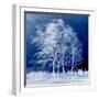 Blue Wind-Philippe Sainte-Laudy-Framed Premium Photographic Print