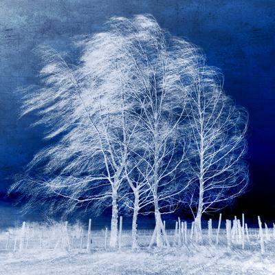 https://imgc.allpostersimages.com/img/posters/blue-wind_u-L-PHEU2Q0.jpg?artPerspective=n