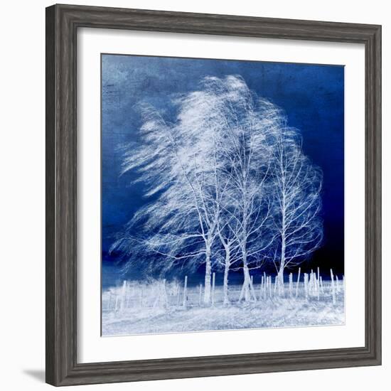 Blue Wind-Philippe Sainte-Laudy-Framed Photographic Print