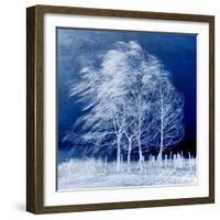 Blue Wind-Philippe Sainte-Laudy-Framed Photographic Print