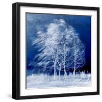 Blue Wind-Philippe Sainte-Laudy-Framed Photographic Print