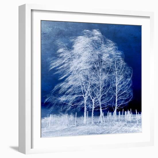 Blue Wind-Philippe Sainte-Laudy-Framed Photographic Print