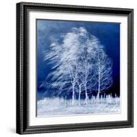 Blue Wind-Philippe Sainte-Laudy-Framed Photographic Print