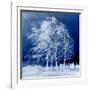 Blue Wind-Philippe Sainte-Laudy-Framed Photographic Print