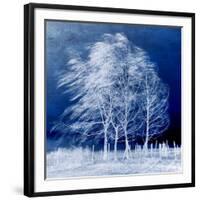 Blue Wind-Philippe Sainte-Laudy-Framed Photographic Print