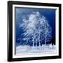 Blue Wind-Philippe Sainte-Laudy-Framed Photographic Print