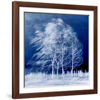 Blue Wind-Philippe Sainte-Laudy-Framed Photographic Print