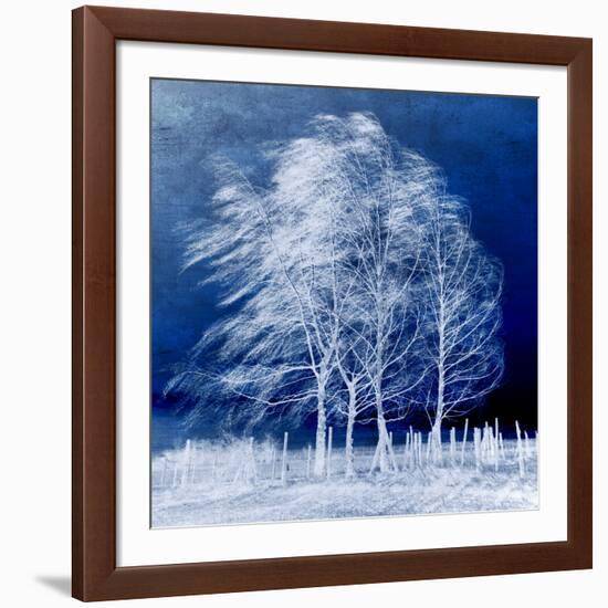 Blue Wind-Philippe Sainte-Laudy-Framed Photographic Print