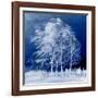 Blue Wind-Philippe Sainte-Laudy-Framed Photographic Print