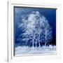 Blue Wind-Philippe Sainte-Laudy-Framed Photographic Print