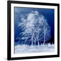 Blue Wind-Philippe Sainte-Laudy-Framed Photographic Print