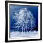 Blue Wind-Philippe Sainte-Laudy-Framed Photographic Print