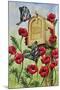 Blue Wing, Swallowtail and Poppies-Charlsie Kelly-Mounted Giclee Print