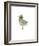 Blue Winged Bird-John W^ Golden-Framed Giclee Print