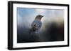 Blue Winter Visitor-Jai Johnson-Framed Giclee Print