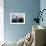 Blue Winter Visitor-Jai Johnson-Framed Giclee Print displayed on a wall