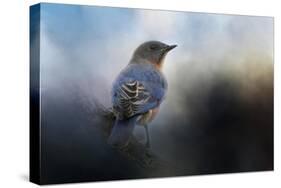 Blue Winter Visitor-Jai Johnson-Stretched Canvas