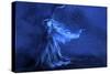 Blue Witch Wind Stars-Patricia Dymer-Stretched Canvas