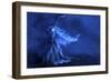 Blue Witch Wind Stars-Patricia Dymer-Framed Giclee Print